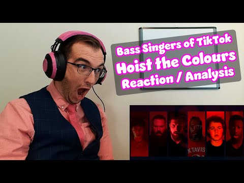 TO THE DEPTHS WITH YE | Hoist the Colours - Bass Singers of Tiktok | First Time Reaction/Analysis