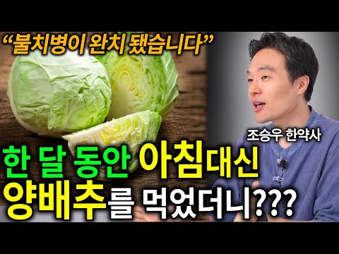 "드셔보시면 답이 나옵니다"  당신이 양배추를 먹어야 하는 이유
