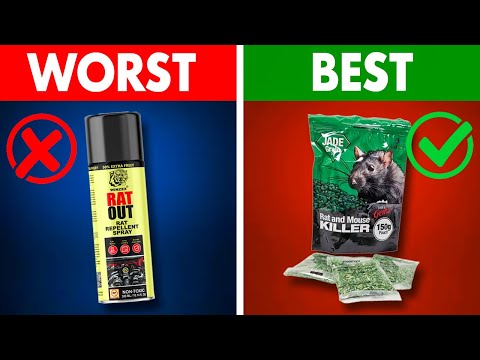 7 Best Anti Rats Poisons (And 5 Worst That Lure Them All!)