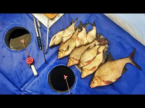 НА УЛИЦЕ -30!!!НОЧНАЯ ЛОВЛЯ ЛЕЩА В ПАЛАТКЕ. Зимняя рыбалка 2023!!!