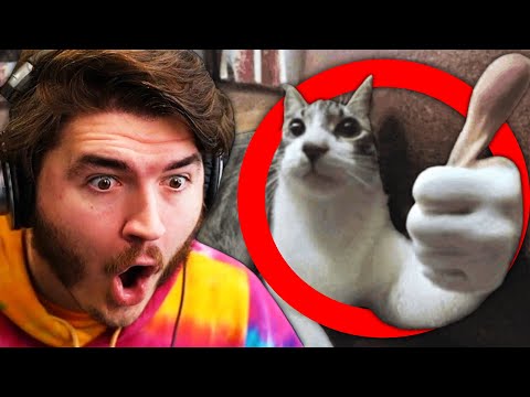 Schlatt's Subreddit is STUPID...