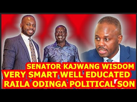 🔥🔥SMART TOUGH SENATOR MOSES KAJWANG ELOQUENCY PURE ENGLISH FROM LUO LAND SPEAK GREAT WISDOM SENATE