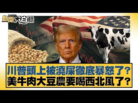 川普頭上被澆屎徹底暴怒了？美牛肉大豆農要喝西北風了？【#新聞大白話】20251021-11｜#聶建中 #林郁方 #李大中 @tvbstalk