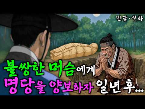 301. 천하명당을 내어준 지관에게 생긴 일 | 야담·민담·전설·설화·옛날이야기