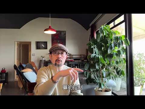 “龟甲缚”再次紧了绳扣:国务院常务会议新政策,基本等于收回了地方政府的财权与支出控制权|分税制|地方财政补贴|负面清单|全国统一大市场|内卷|