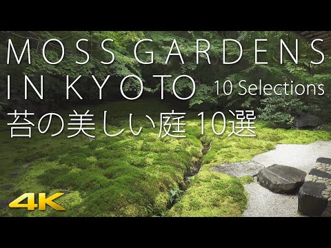 [4K] Moss Gardens in Kyoto 10 selections　苔の美しい京都の庭10選 瑠璃光院 桂春院