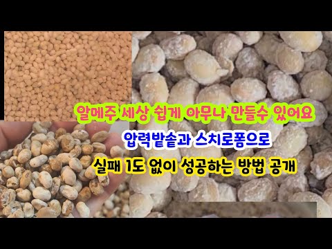 [알메주 띄우기1탄]  전통장 기능장님의 초특급 방법으로~  제일 쉽고 실패1도 없이 성공하는 최고의 레시피 공개