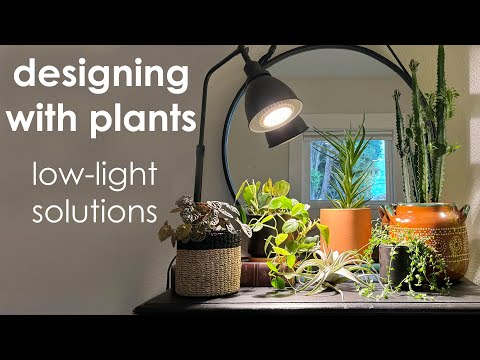 Designing with Plants: Low Light Solutions