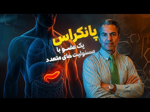 پانکراس , یک عضو با مسولیتهای  متعدد