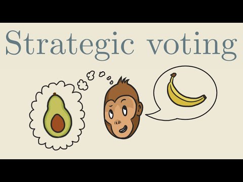 The flaw in every voting system