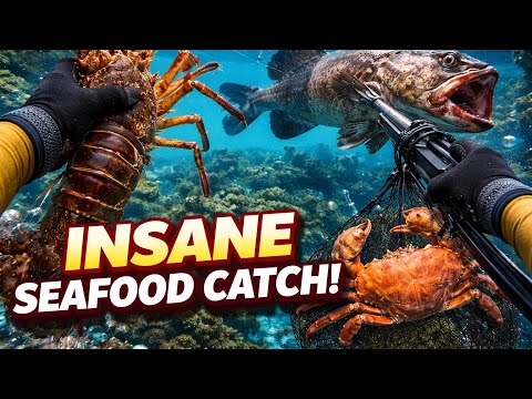 Catching Massive Seafood While Free Diving