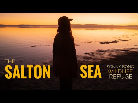 Salton Sea and the Sonny Bono Wildlife Refuge | Wildlife and Fuji Instax Instant Photography