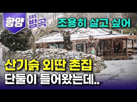 [경남 함양] "두 달째 조카들이 안 떠난다.." 자식들 다 키우고 조용히 살고 싶어 산기슭 폐가 고쳤더니 방학마다 찾아오는 조카들 덕에 육아 시작한 부부｜#한국기행 #방방곡곡
