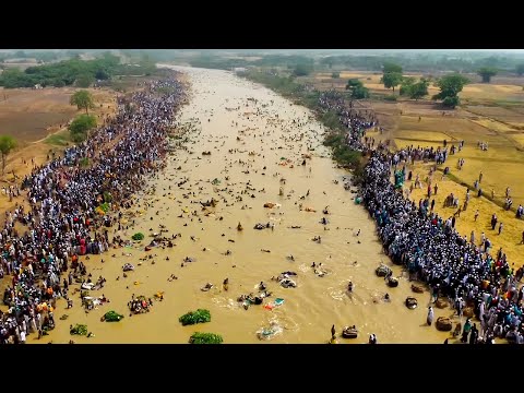 Incredible Moments Caught on Camera