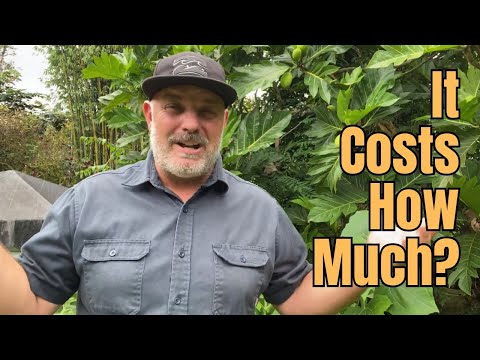 Going Off Grid in Hawaii in 2025