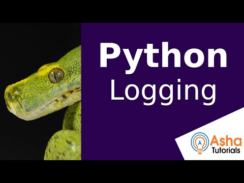 Python Logging : Logger, Handler, Filter, Formatter & LoggerAdapter