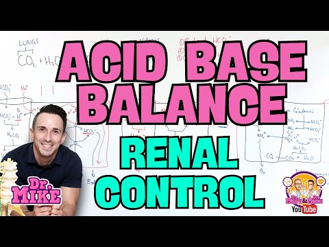 Acid Base Balance | Renal Regulation