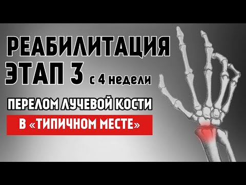 Полный протокол реабилитации. Разработка ЛУЧЕЗАПЯСТНОГО СУСТАВА. Перелом «в типичном месте». ЭТАП 3