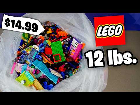 I Got Super Cheap Lego From Goodwill...