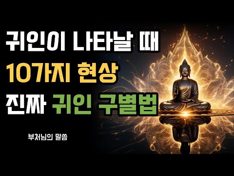 💫 귀인이 나타날 때 생기는 10가지 신기한 현상 | 운명을 바꾸는 만남의 신호 | 귀인이 나타날 때 벌어지는 일들