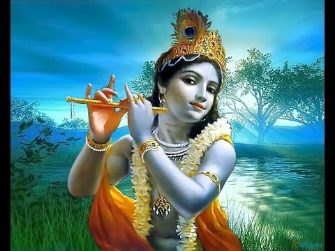 Нараяна Л. -  Закон кармы и Реинкарнации