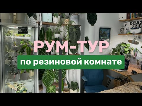 Где найти место для растений, если места нет? Показываю