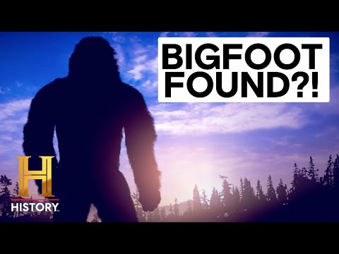 The Proof Is Out There: 5 Mysterious Bigfoot Encounters | History