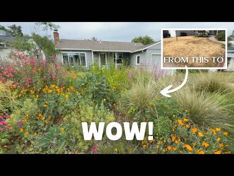 Before and AFTER! The Most Incredible Native Garden Tour Shows Us What Natives Can Do!