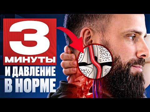 No More Pills! These Exercises Will Normalize Your Blood Pressure Forever.