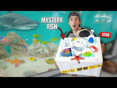 BUYING $500 LIVE FISH MYSTERY BOX Off The Web... (What's Inside?)