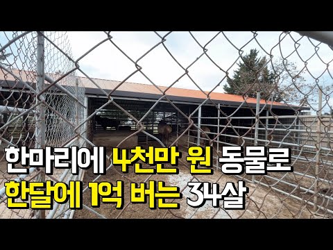 호랑이보다 비싼동물 키워 한달에 1억 버는 34살ㅣ휴먼스토리ㅣ직업의모든것ㅣ30대자영업자이야기