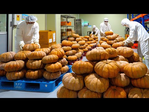 처음봅니다! 400통 호박을 작두로 잘라 제대로 만드는 호박식혜 대량생산 / Korean traditional pumpkin sweet rice drink(Sikhye)