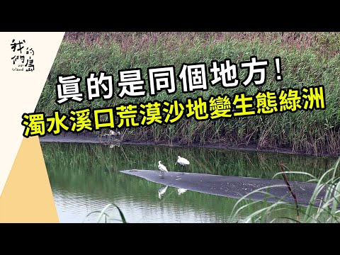 濁水溪河口的生態綠洲｜脫離「攪飯配沙」的日子(我們的島第1209集 2023-06-19)