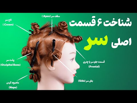 شناخت ۶ ناحیه اصلی سر برای کوتاهی | آموزش تخصصی آرایشگری