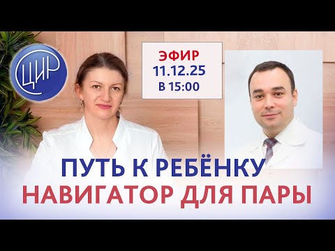 Путь к ребёнку. Навигатор для пары. Эфир с экспертами ЦИР С.Н Дементьевой и Э.Р. Абулхакимовым.