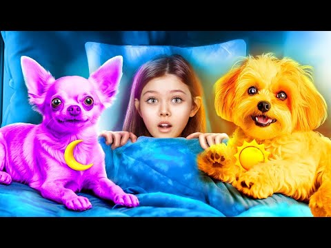 On Construit une Tiny House! Pomni vs CatNap! Poppy Playtime 3!