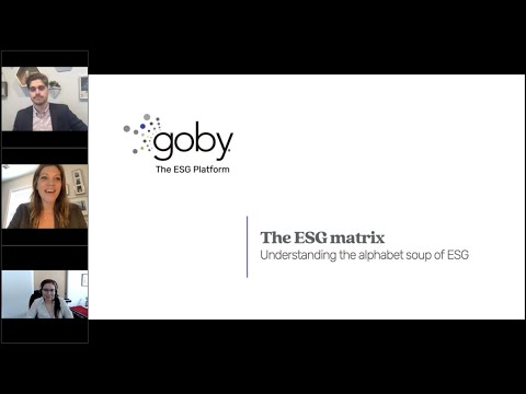 The ESG Matrix: Understanding the alphabet soup of ESG disclosure
