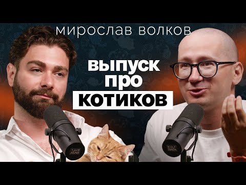 Зоопсихолог о любви к котам-абьюзерам, психике животных, мистике вокруг кошек и патологии-эмпатии
