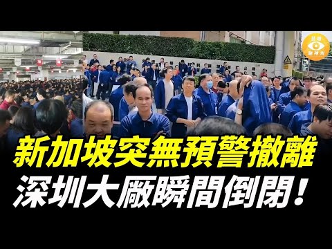 中國被最大外資來源國拋棄！新加坡半導體巨頭無預警撤離，又一家深圳大廠突然間倒閉，千人瞬間失業！