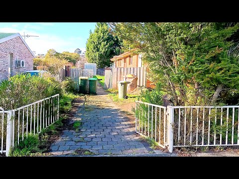 She called me an ARTIST after Transforming her Neglected Garden!!!