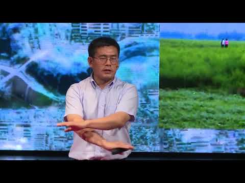 【一席】唐際根：地下有個商王朝