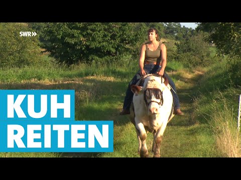 Ein ku(h)rioses Hobby – auf der Kuh durchs Dorf reiten