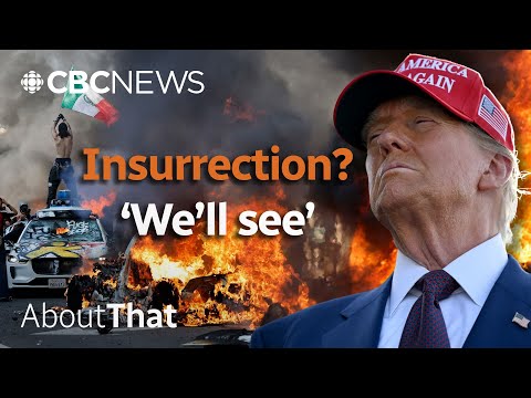 Protests, tariffs, borders: Why Trump says everything is an emergency | About That