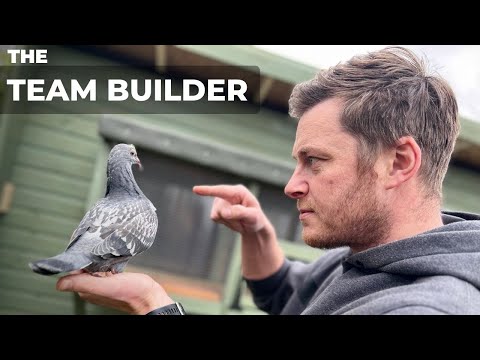 Young Racers | Pigeons Of The Future | H2TYP Ep62