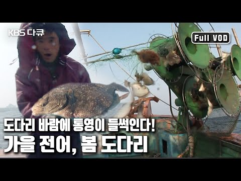 통영 앞 🌊바다의 포문을 여는 🐟물고기, 팔색조 봄 도다리! 그 황홀한 맛의 진수를 낱낱이 밝힌다 '놈들이 왔다! 봄 도다리’ (KBS 20080423 방송)