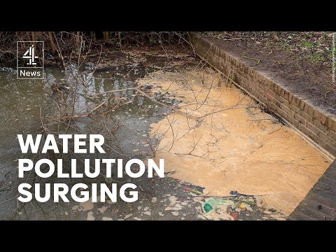 ‘A complete disgrace’, water pollution in England soars