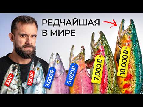 I Cooked All The EXOTIC Types Of Salmon