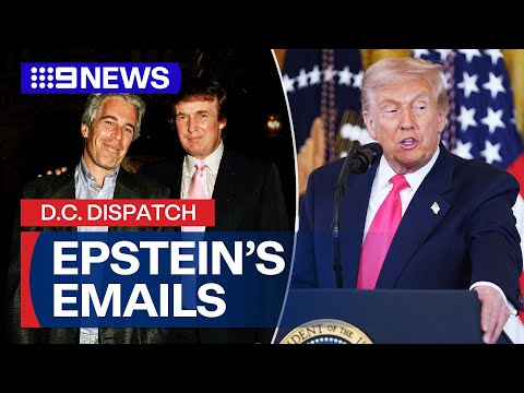 DC DISPATCH: New Trump-Epstein emails surface and government shutdown ends | 9 News Australia