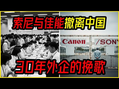 暴跌83%！为什么最“怂”的日本企业，这次跑得比谁都快？他们闻到了什么危险？建交以来中日关系首次“政冷经凉”   #外资撤离 #中国经济 #就业危机