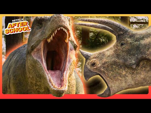 Surviving the Age of Dinosaurs! 🦖🌎 Compilation | Life on Our Planet | Netflix After School